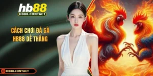 Cach Choi Da Ga Hb88 De Thang