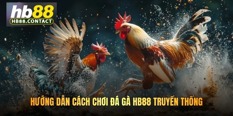 Cách Chơi Đá Gà HB88: Trải Nghiệm Nhiều Trận Chiến Khốc Liệt 3 Hướng dẫn cách chơi đá gà HB88 truyền thống