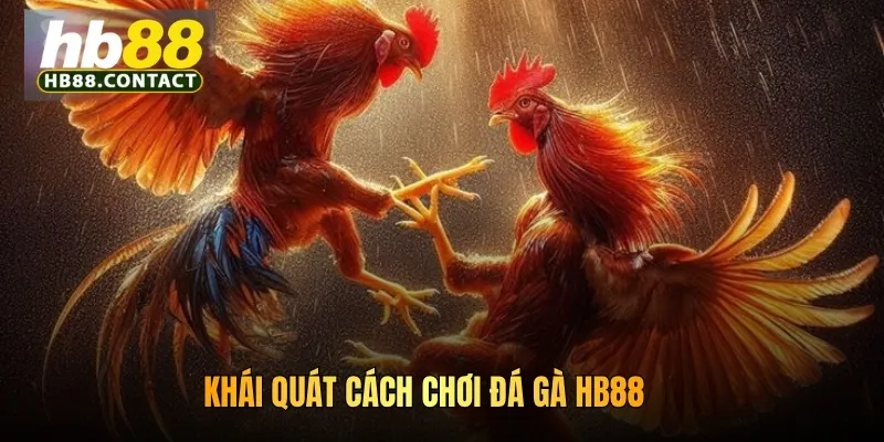 Cách Chơi Đá Gà HB88: Trải Nghiệm Nhiều Trận Chiến Khốc Liệt 2 Khái quát cách chơi đá gà HB88